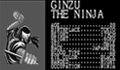 Ginzu the Ninja from Captain Commando